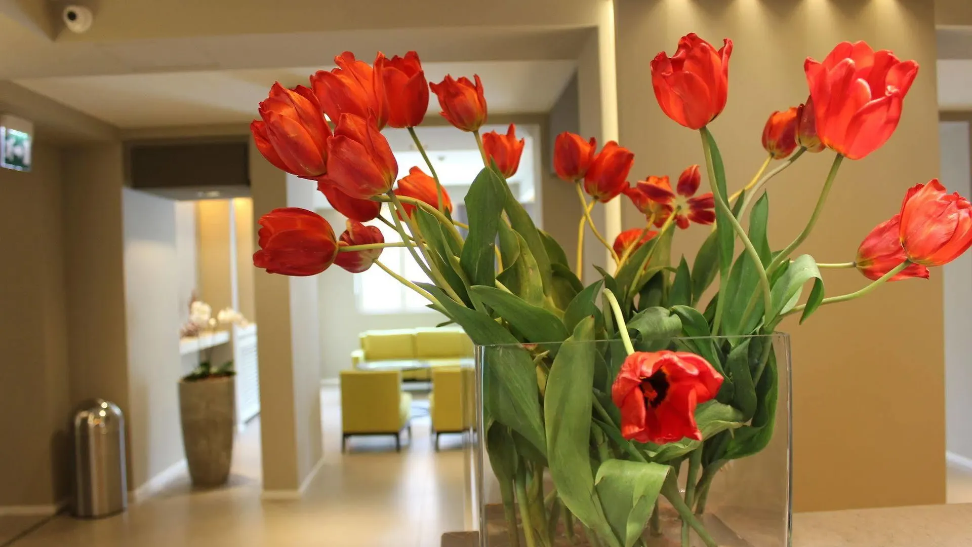 קטאניה Airone City Hotel